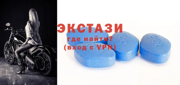 индика Медвежьегорск