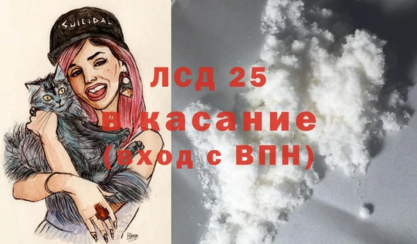 стаф Арсеньев
