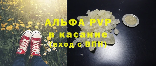 стаф Арсеньев