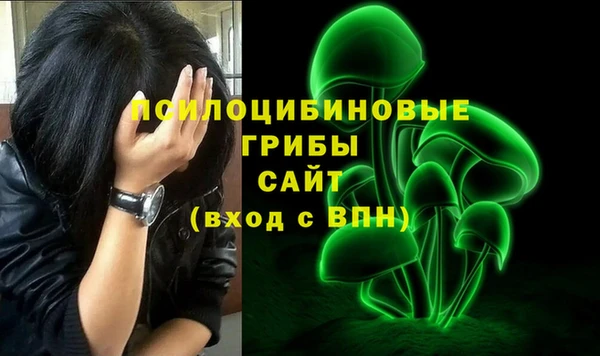 стаф Арсеньев
