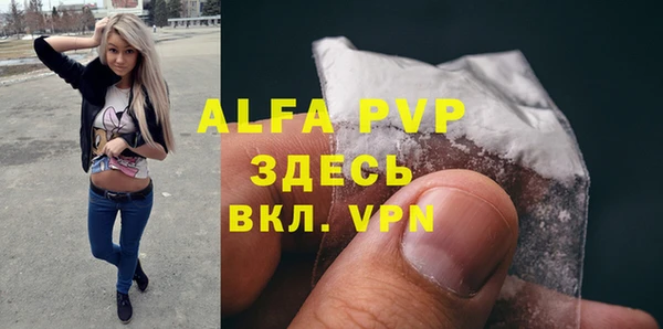стаф Арсеньев
