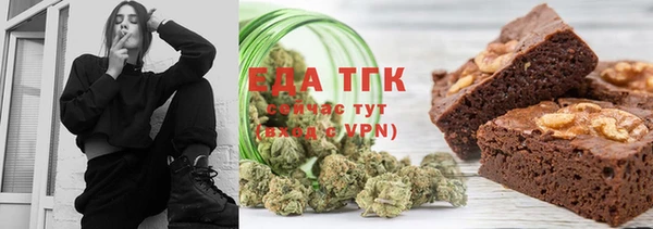 стаф Арсеньев