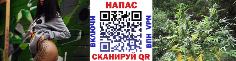 магазин продажи наркотиков Калач маркетплейс формула Бошки Шишки Amnesia